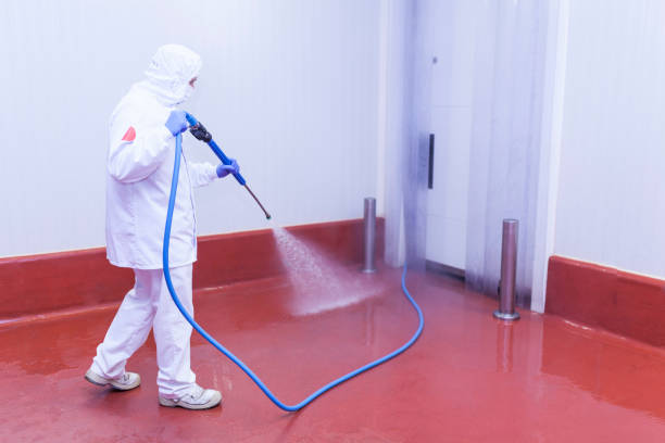 Best Playground Equipment Cleaning  in Circle D Kc Estates, TX